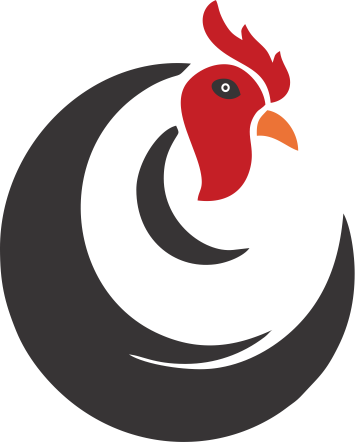 Top 10 Frozen Foods in Lahore for Quick & Easy Meals | Chicken Huk’s